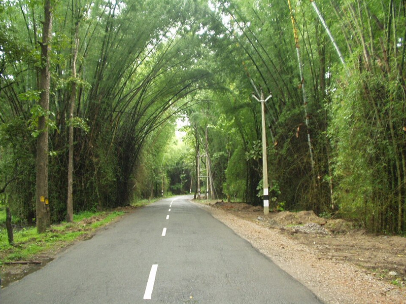 Wayanad