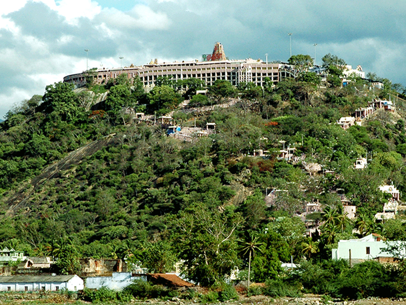 Palani 