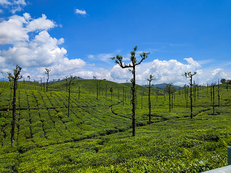 Valparai
