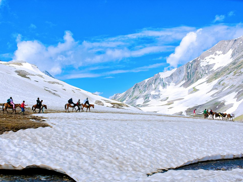 Kashmir