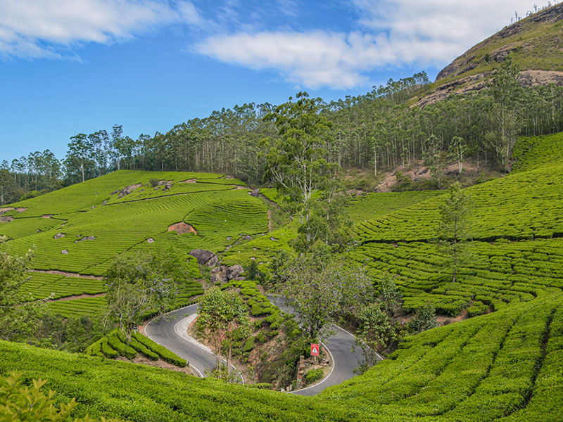  Munnar