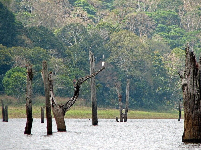 Idukki